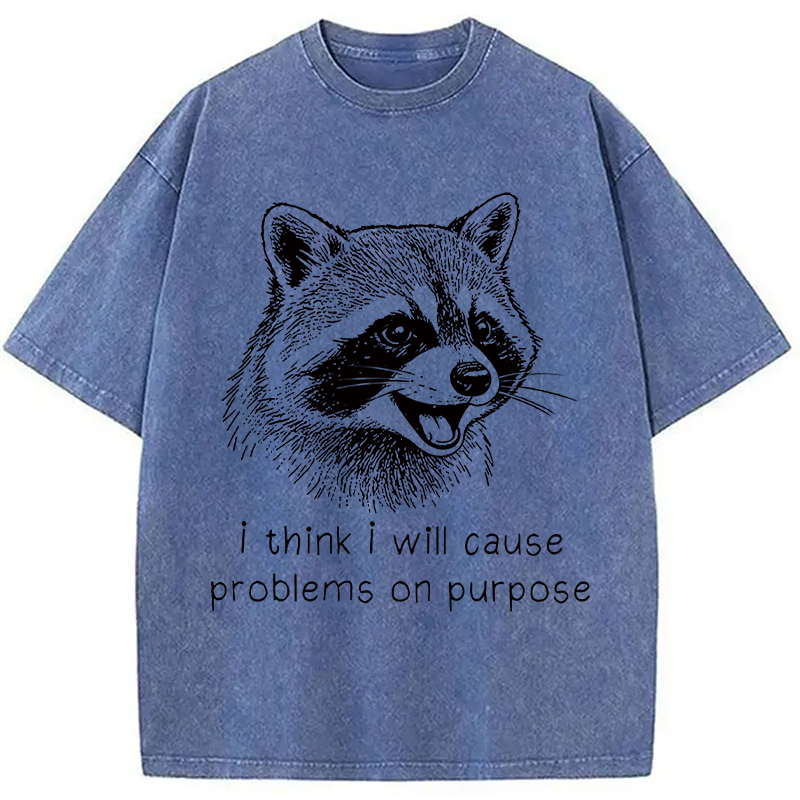 Tokyocanvas Stupid Raccoon Funny Washed T-Shirt