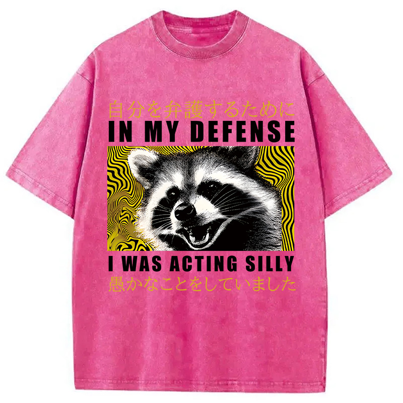 Tokyocanvas Silly & Proud Washed T-Shirt