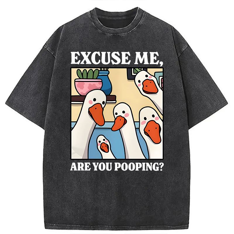 Tokyocanvas Are You Pooping Goose Meme Washed T-Shirt