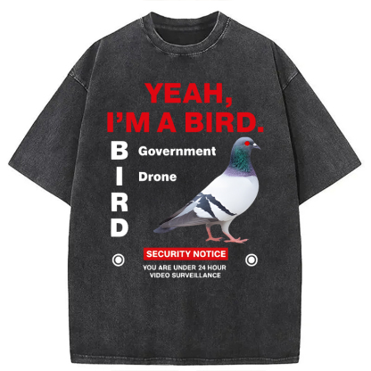 Tokyocanvas Government Funny Pigeon Puns Washed T-Shirt