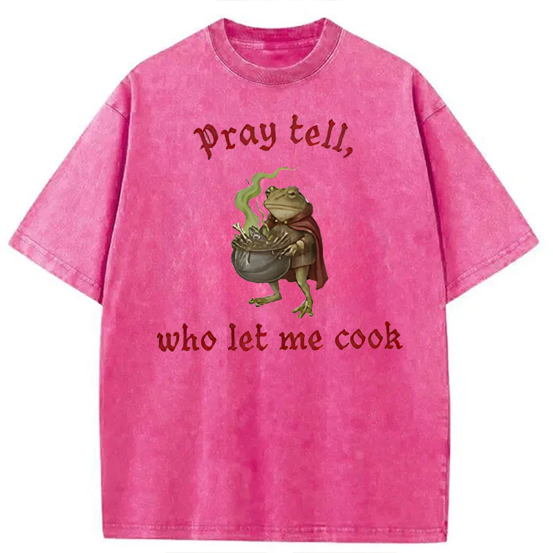 Tokyocanvas Pray Tell Funny Frog Meme Washed T-Shirt