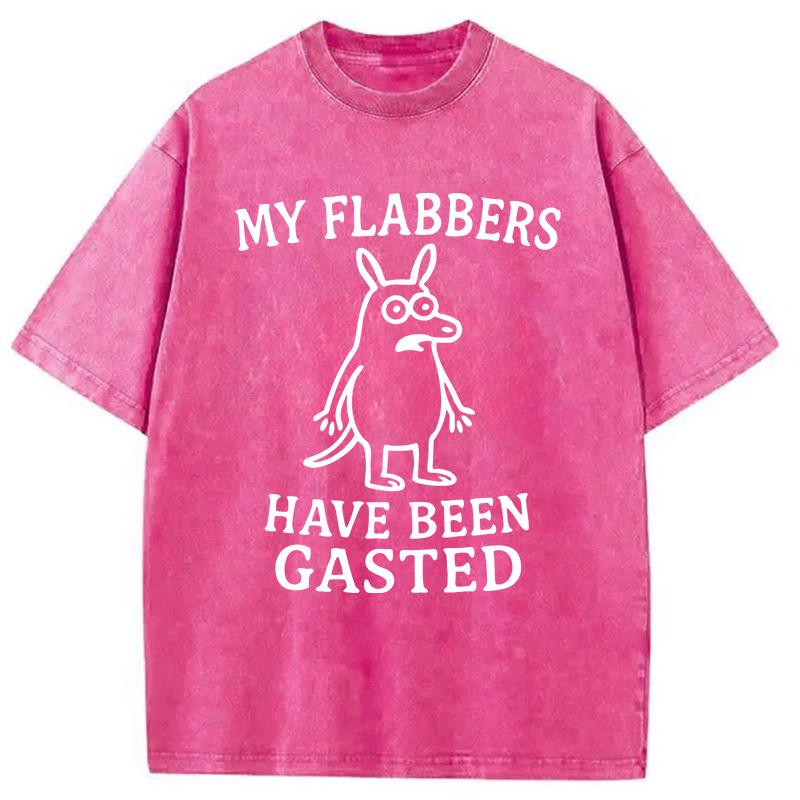 Tokyocanvas My Flabbers Have Been Gasted Funny Meme Washed T-Shirt