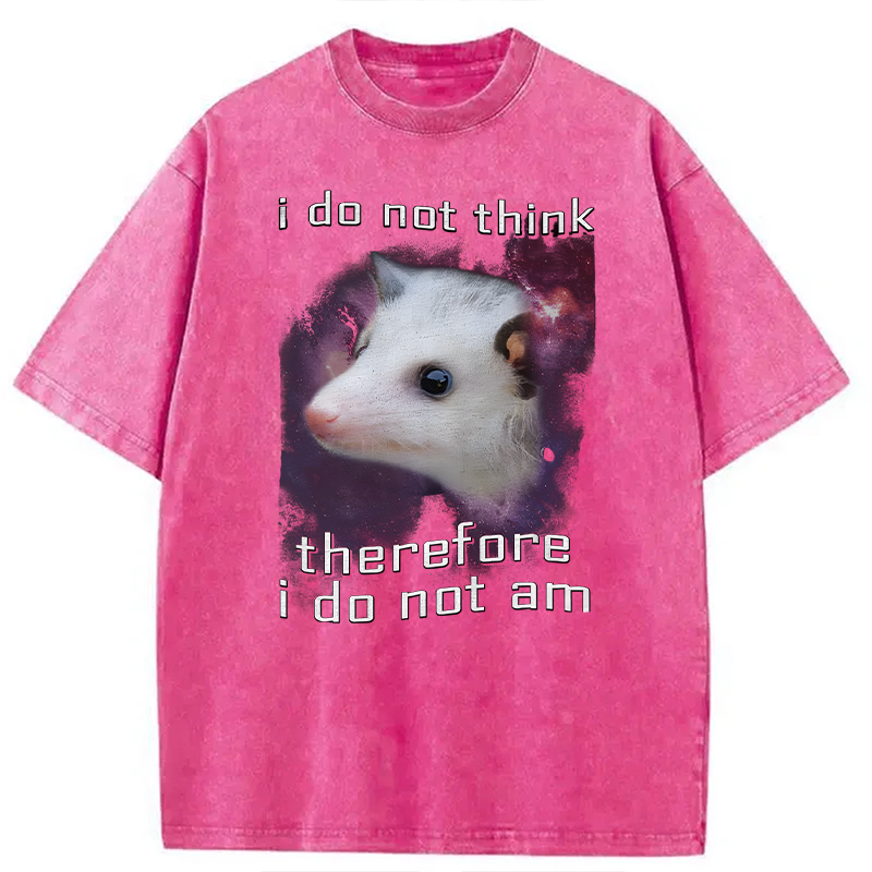 Tokyocanvas Confused Possum Space Washed T-Shirt