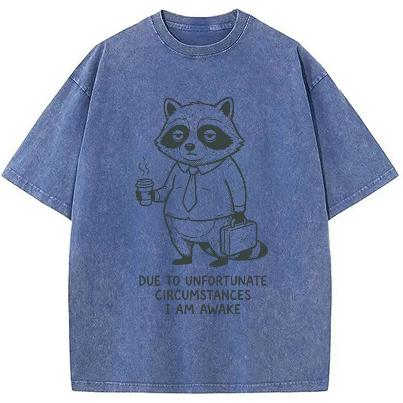 Tokyocanvas Grumpy Raccoon Morning Washed T-Shirt