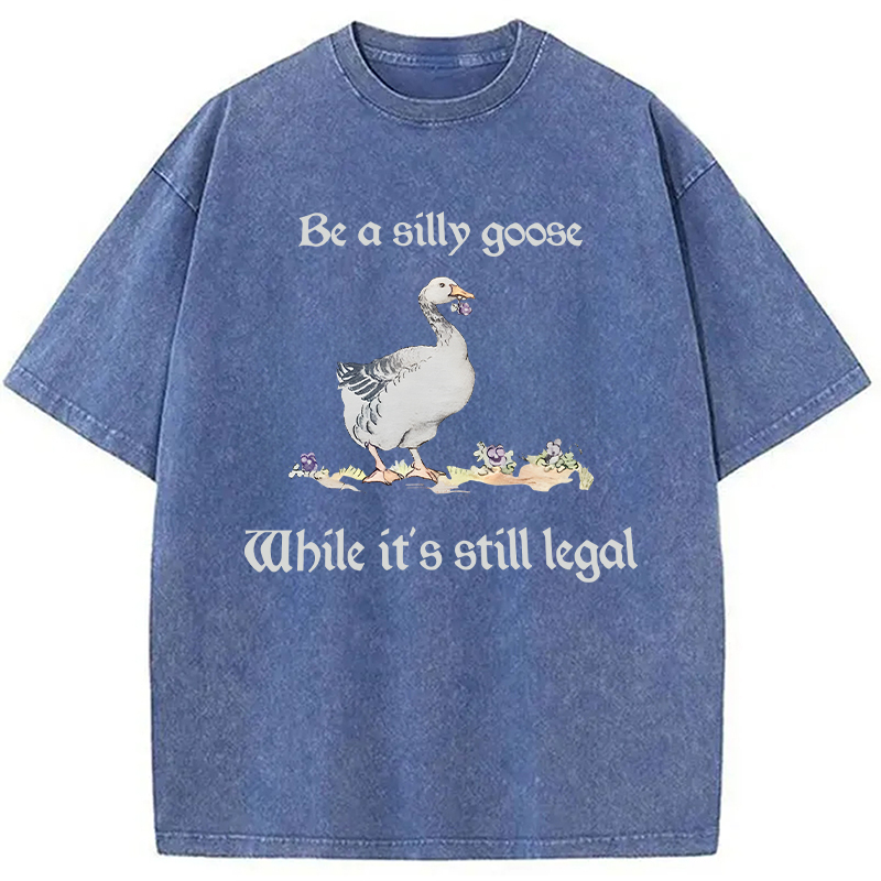 Tokyocanvas Be A Silly Goose Washed T-Shirt