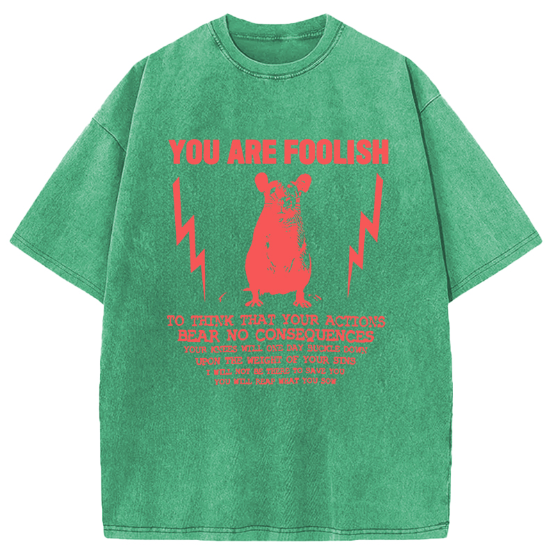 Tokyocanvas You Are Foolish Rat Meme Washed T-Shirt