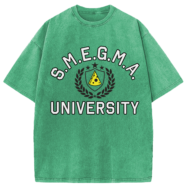Tokyocanvas Smegma University Funny Washed T-Shirt