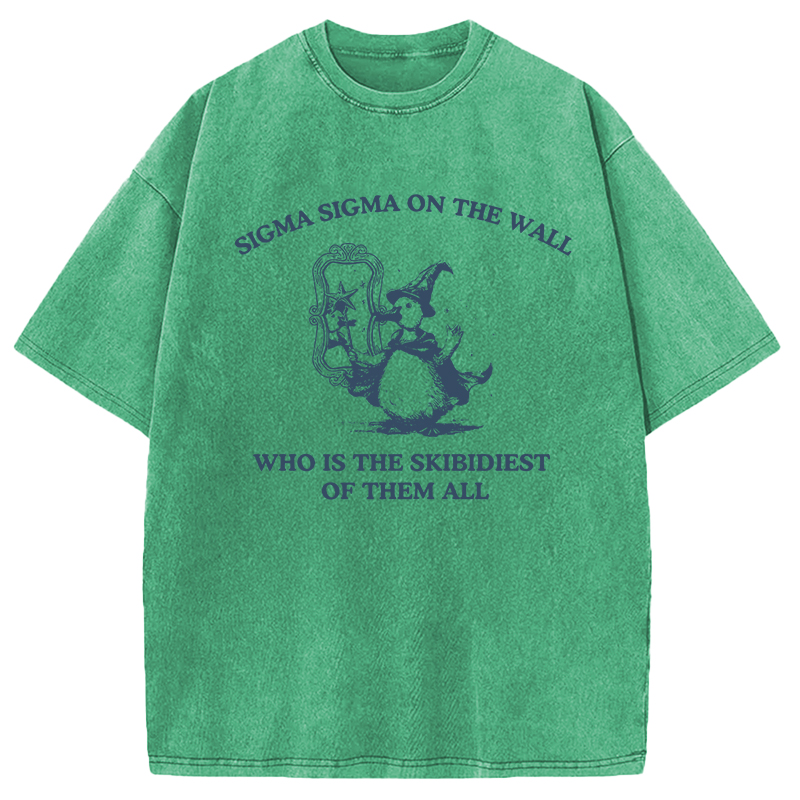 Tokyocanvas Sigma Sigma On The Wall Funny Brainrot Goose Washed T-Shirt