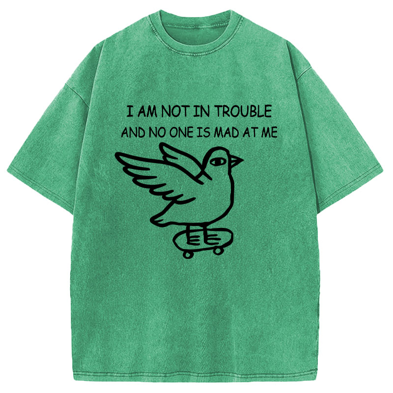 Tokyocanvas Bird Pretends It Did Nothing Wrong Washed T-Shirt