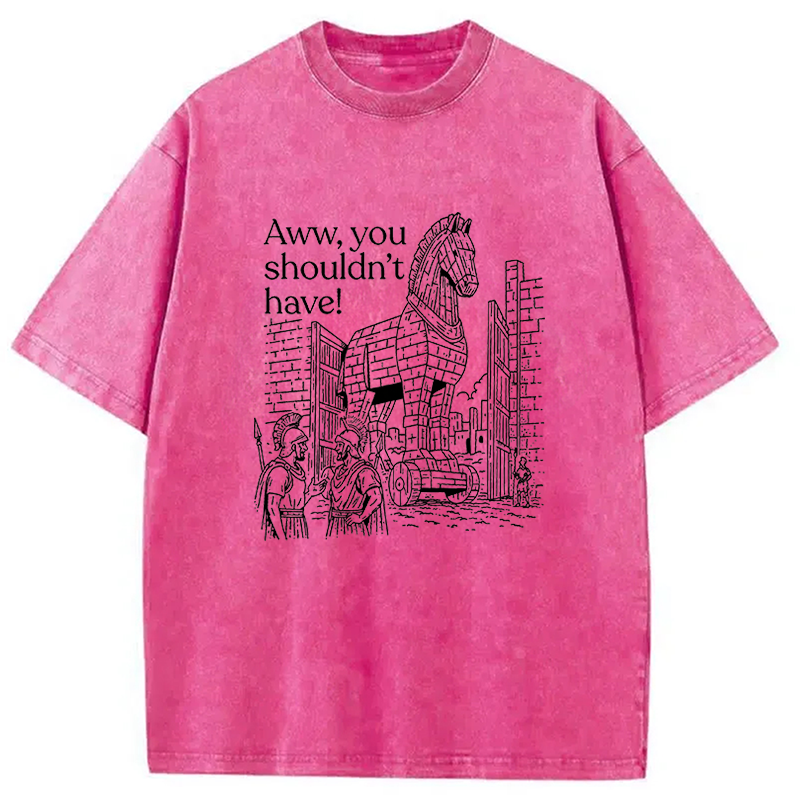 Tokyocanvas Aww, You Shouldn't Have! Washed T-Shirt