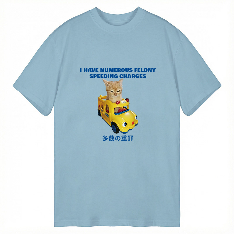 Tokyocanvas I Have Numerous Felonies For Speeding Classic T-Shirt