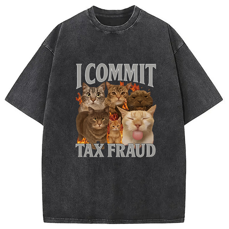 Tokyocanvas I Commit Tax Fraud Washed T-Shirt