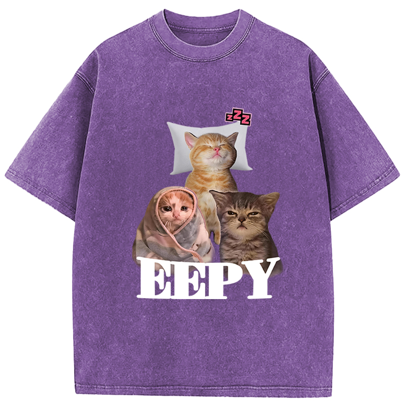 Tokyocanvas Eepy Cat Meme Washed T-Shirt