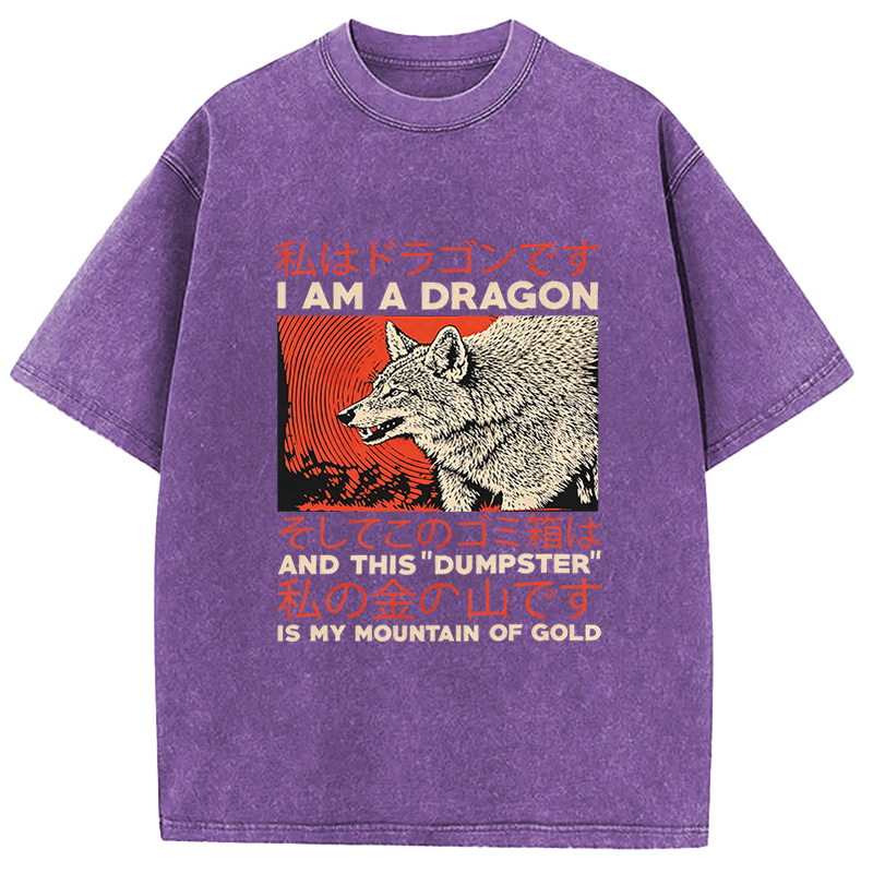 Tokyocanvas I Am A Dragon Coyote Raccoon Trash Graphic Washed T-Shirt