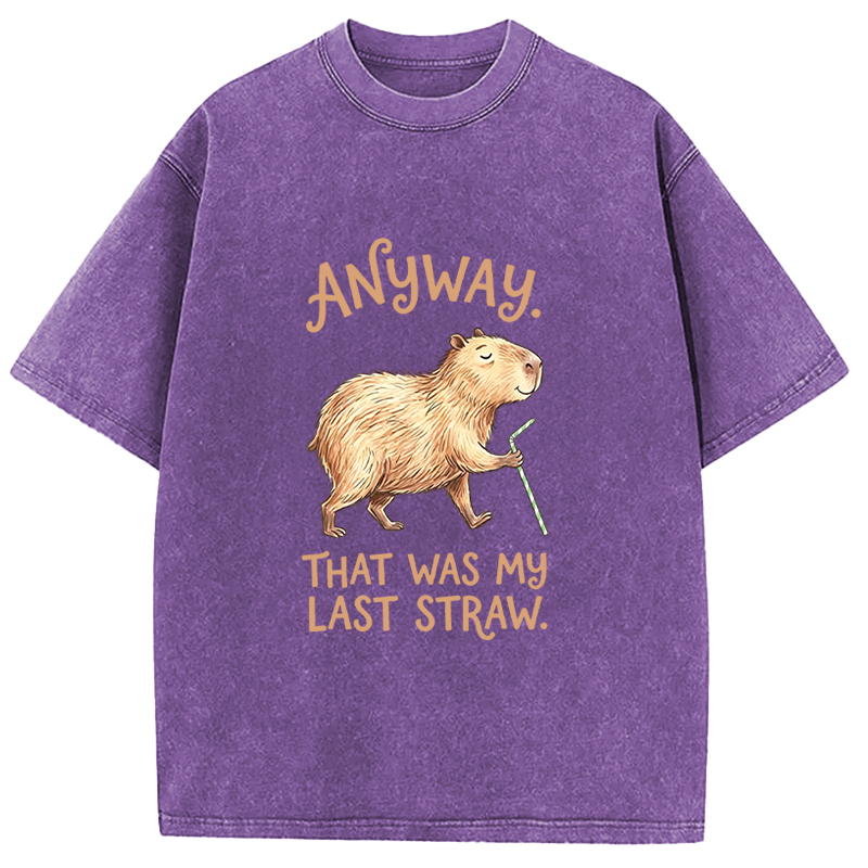 Tokyocanvas Funny Capybara Anyway that was My Last Straw Washed T-Shirt