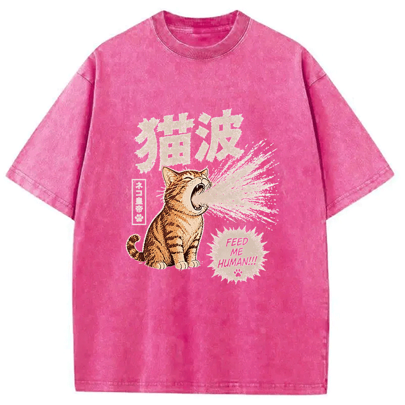 Tokyocanvas Anime Cat Washed T-Shirt
