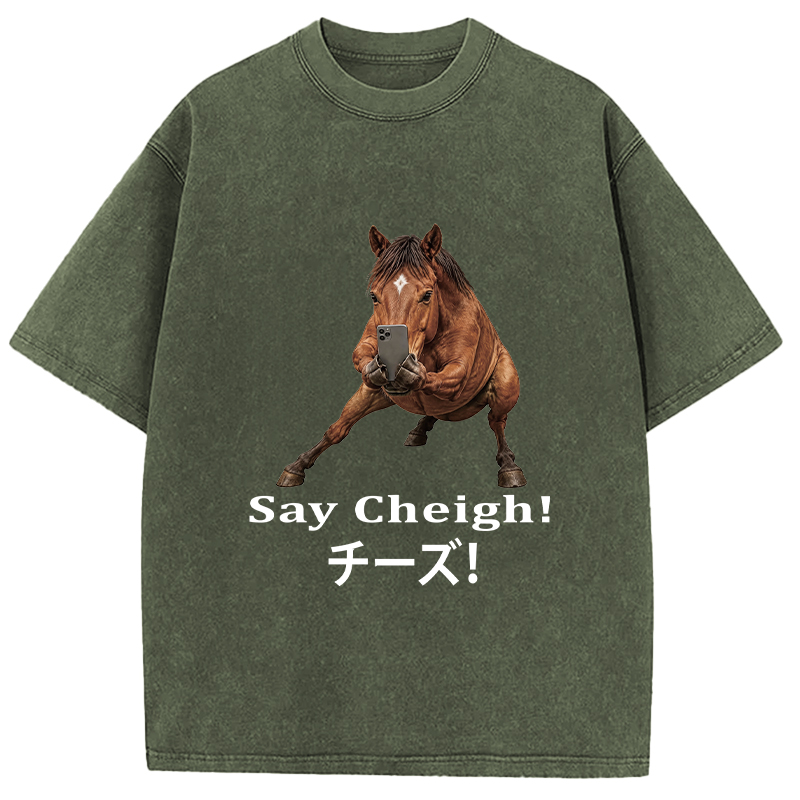 Tokyocanvas Say Cheigh! Horse Meme Washed T-Shirt