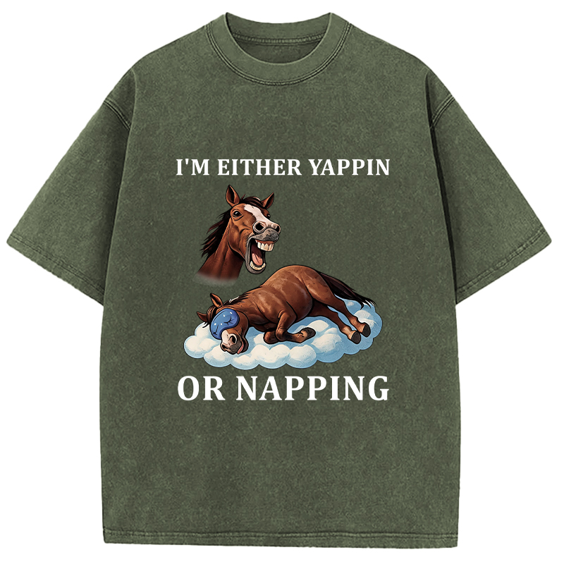 Tokyocanvas Im Either Yappin or Napping  Washed T-Shirt