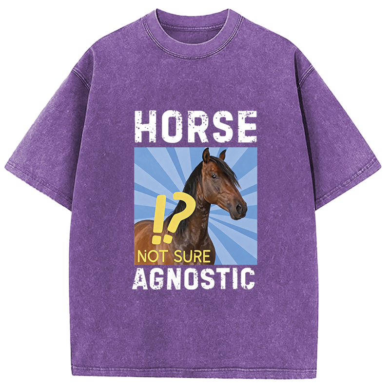 Tokyocanvas Horse Agnostic, Not Sure Essential Washed T-Shirt
