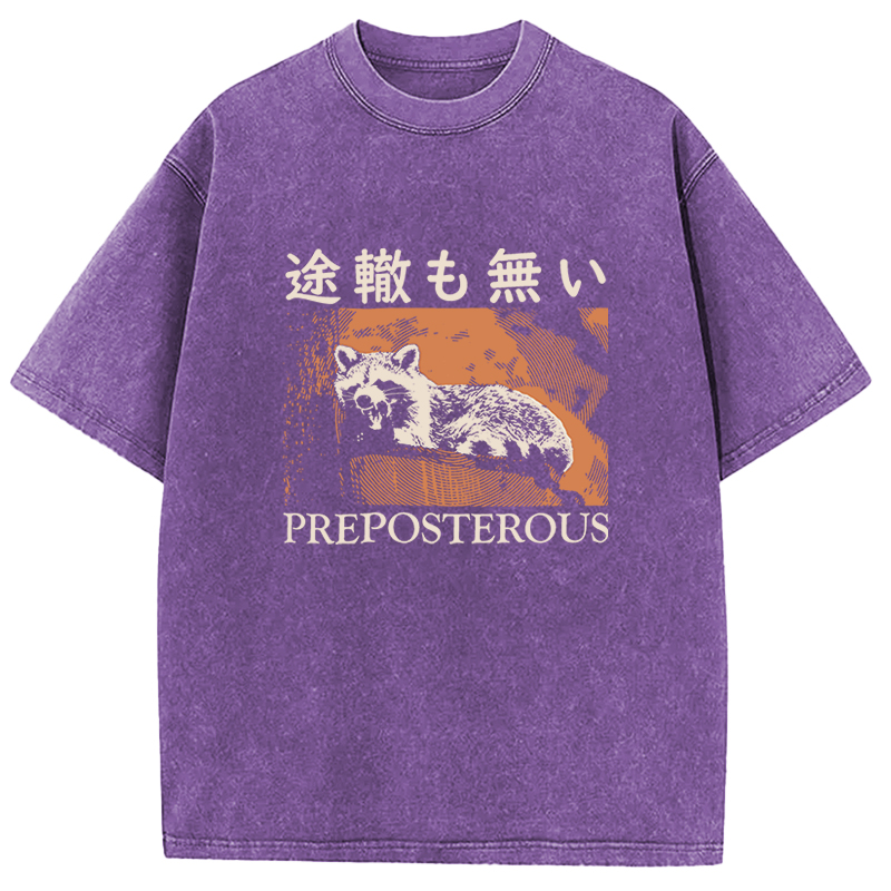 Tokyocanvas Preposterous Raccoon Washed T-Shirt