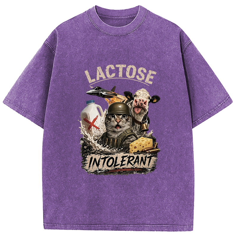 Tokyocanvas Dairy Is My Enemy Washed T-Shirt