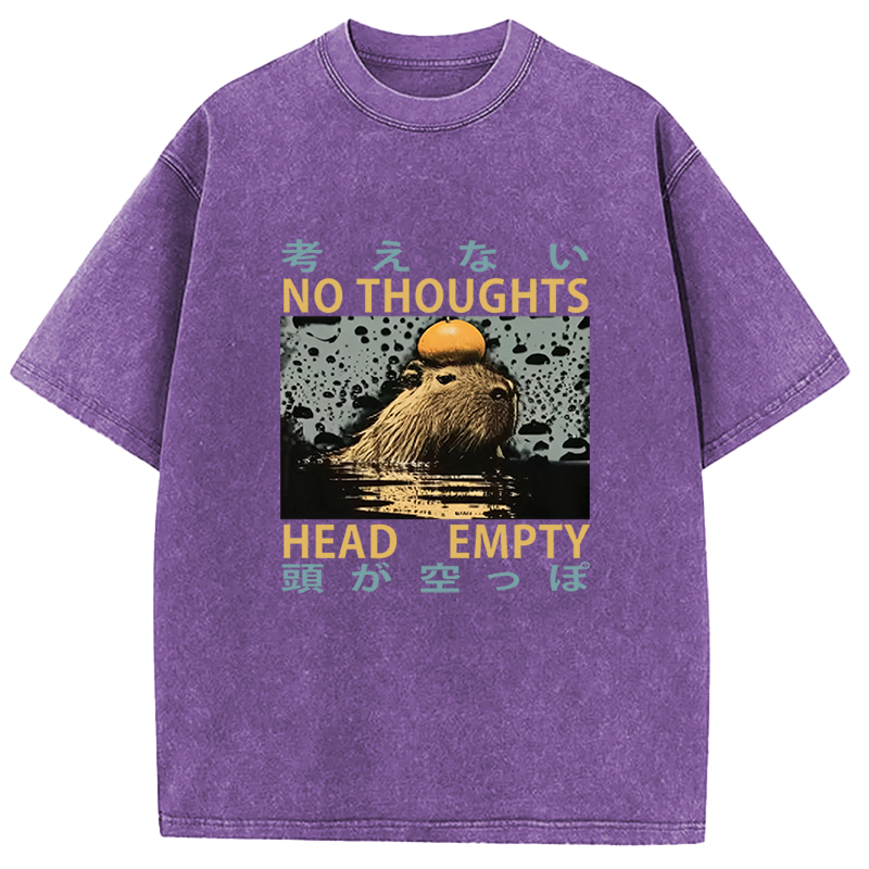 Tokyocanvas No Thoughts Head Empty Washed T-Shirt