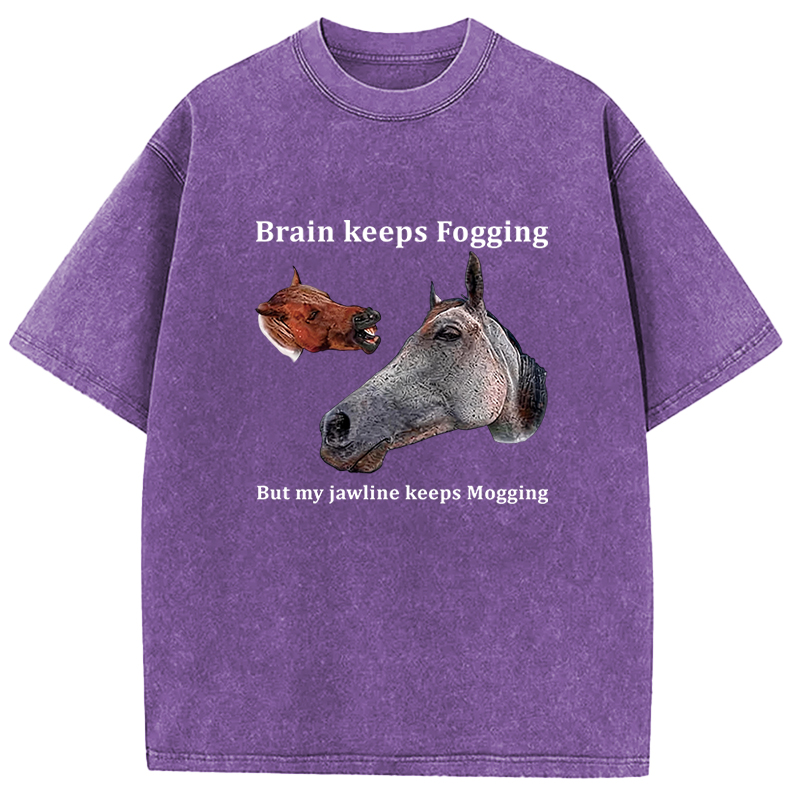 Tokyocanvas Horse Jawline Mogging Washed T-Shirt