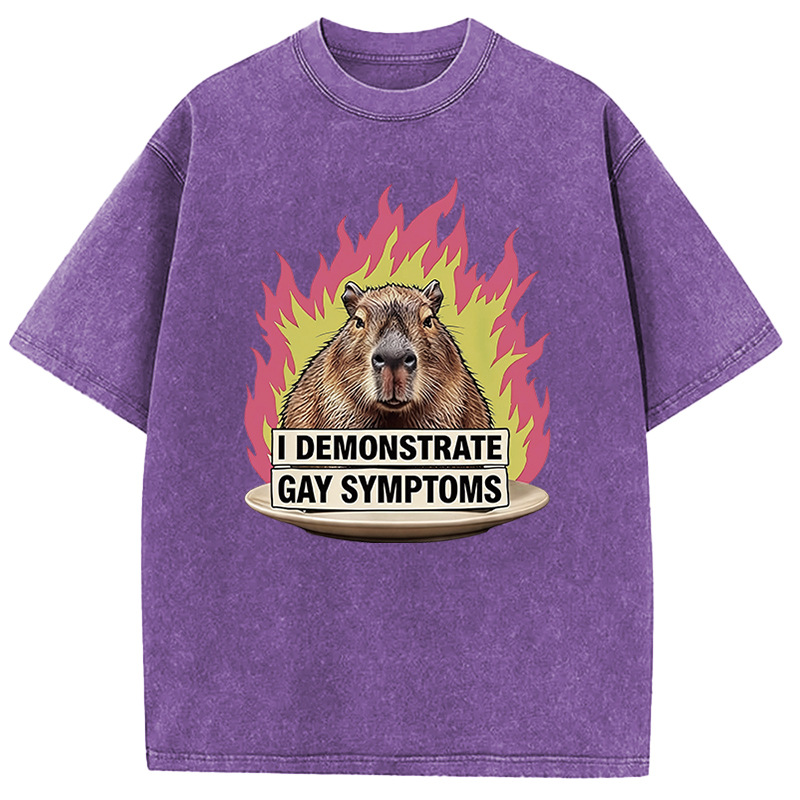 Tokyocanvas I Demonstrate Gay Symptoms Funny Washed T-Shirt