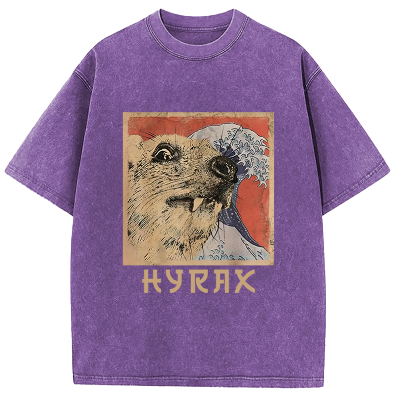 Tokyocanvas Hyrax Japanese Vintage Washed T-Shirt