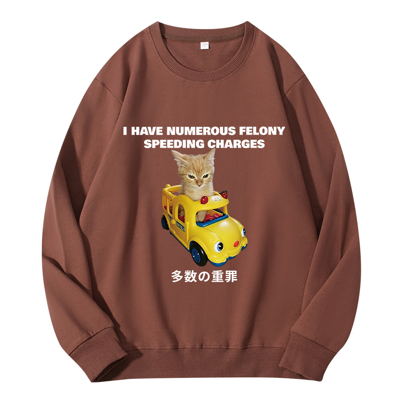 Tokyocanvas I Have Numerous Felonies For Speeding Classic Sweatshirt