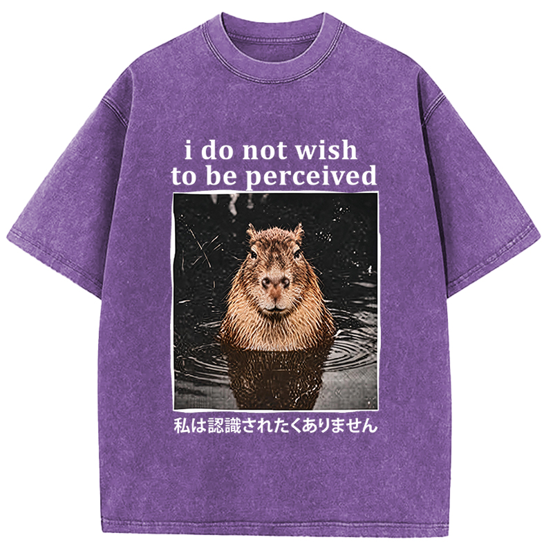 Tokyocanvas I Do Not Wish to Be Perceived Capybara Washed T-Shirt