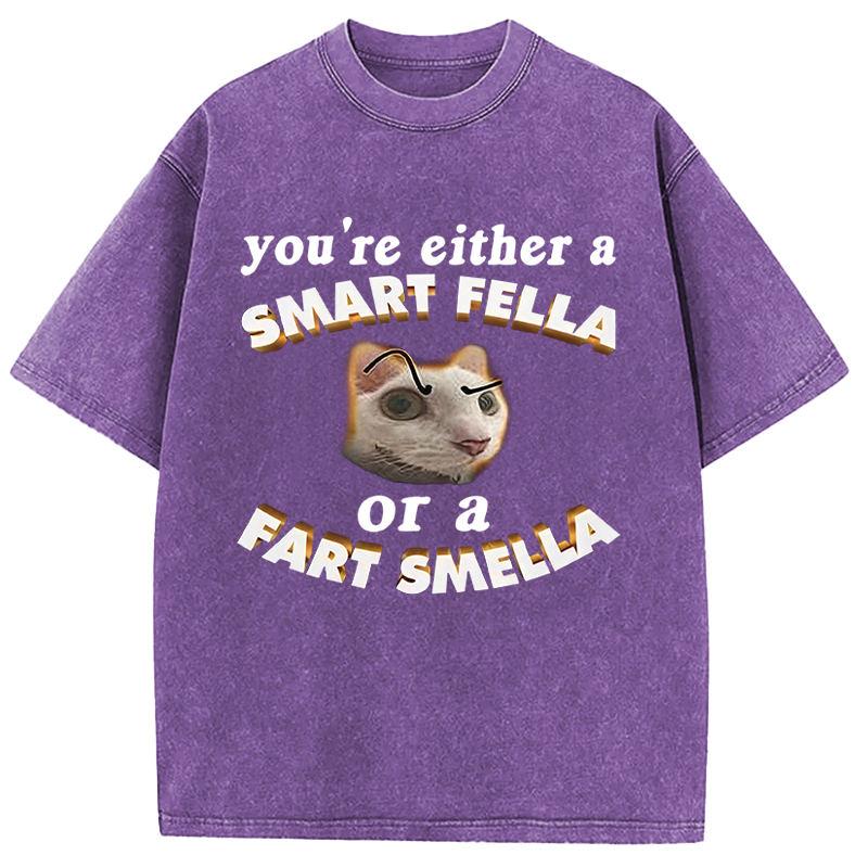 Tokyocanvas You're Either A Smart Fella Or A Fart Smella Funny Cat Washed T-Shirt