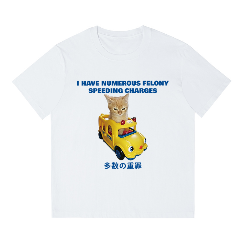 Tokyocanvas I Have Numerous Felonies For Speeding Boxy T-shirt
