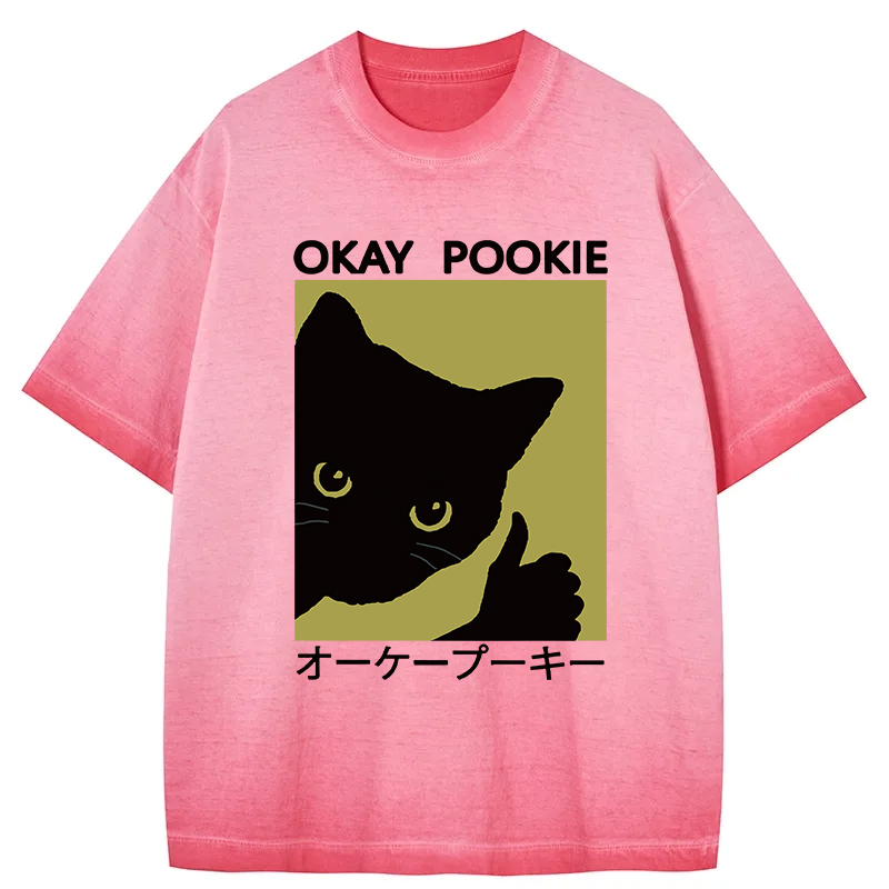 Tokyocanvas Okay Pookie Cat Gradient Washed T-Shirt