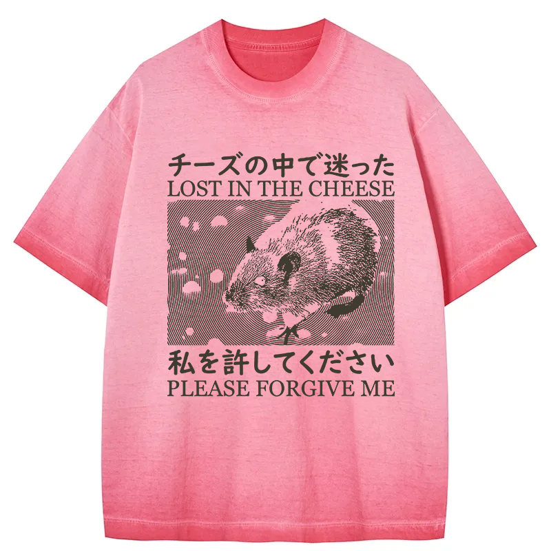 Tokyocanvas Lost in the Cheese Please Forgive Me Gradient Washed T-Shirt