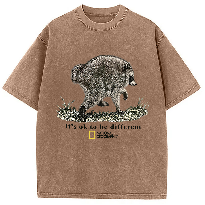 Tokyocanvas It’s OK to be Different Washed T-Shirt