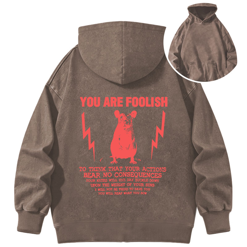 Tokyocanvas You Are Foolish Rat Meme Washed Hoodie