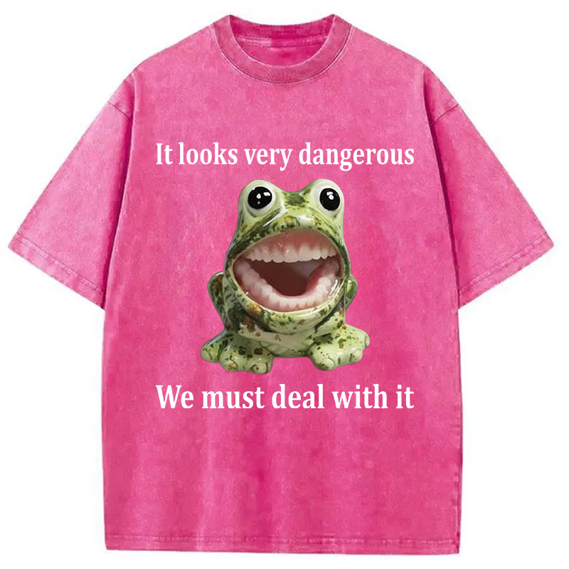 Tokyocanvas It Looks Very Dangerous Frog Washed T-Shirt