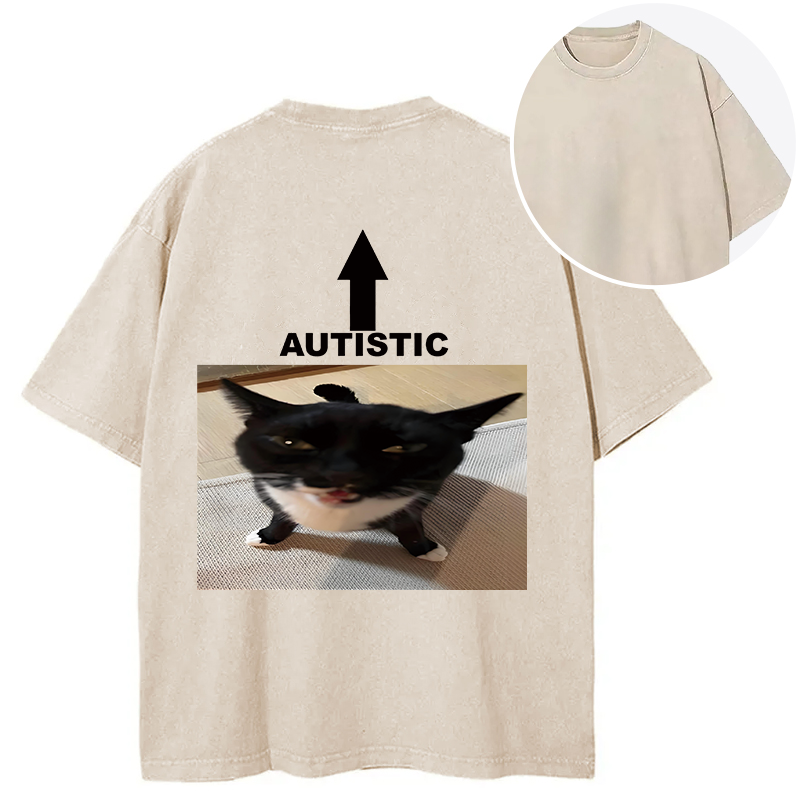 Tokyocanvas Autistic Cat Back Washed T-Shirt