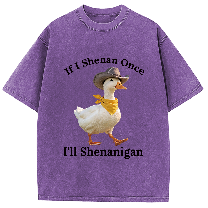 Tokyocanvas If I Shenan Once Funny Goose Washed T-Shirt