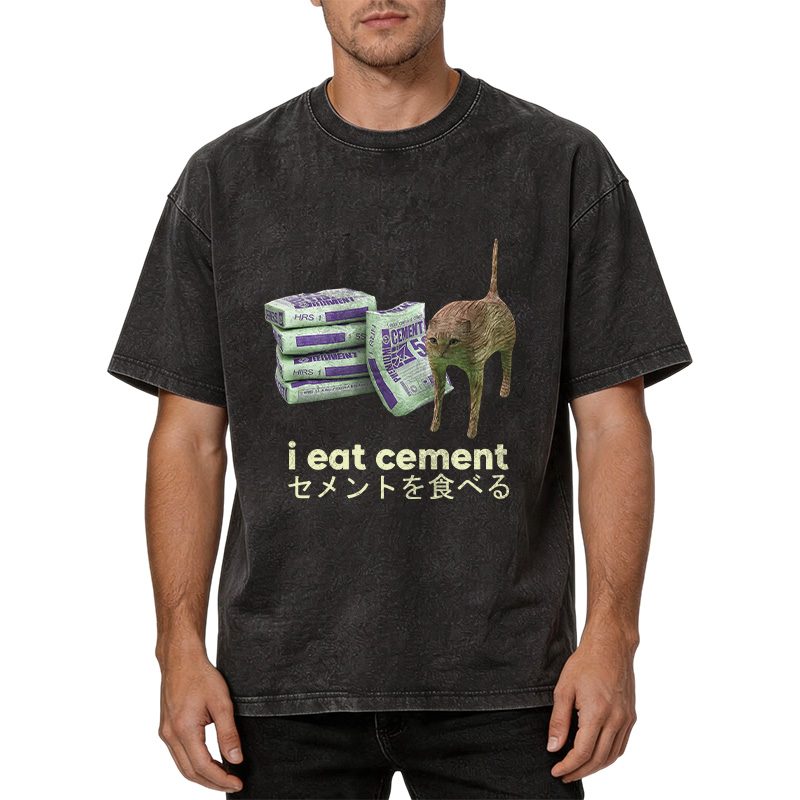 Tokyocanvas Funny Internet Cement Cat Washed T-Shirt