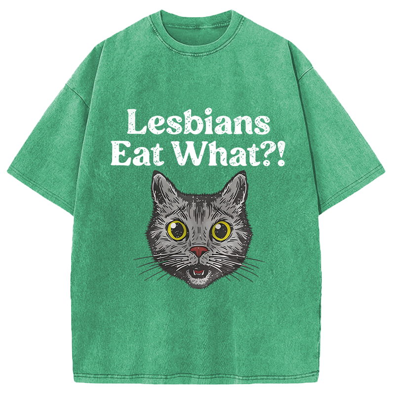 Tokyocanvas Lesbians Eat What Cat Washed T-Shirt