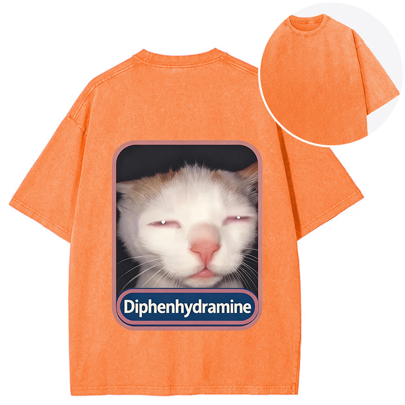 Tokyocanvas Funny Cat Meme Back Washed T-Shirt