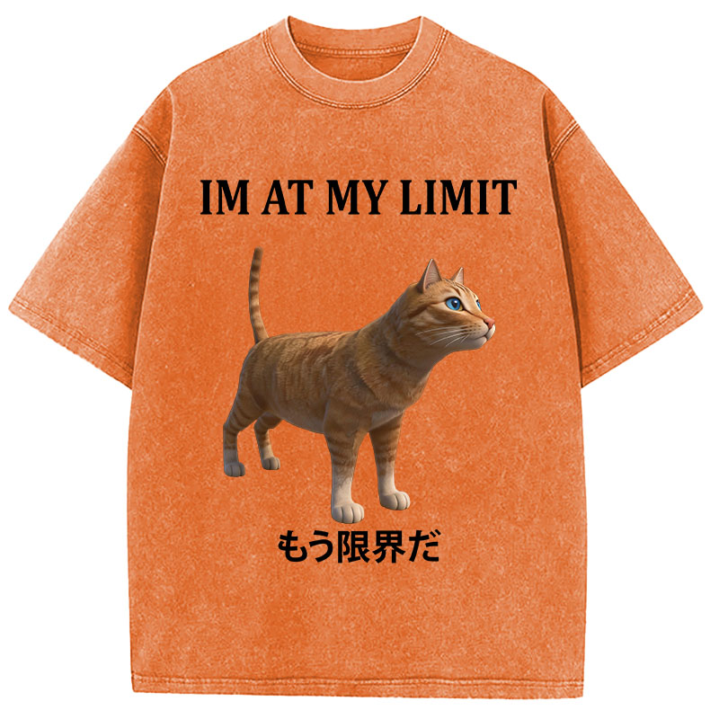 Tokyocanvas Poly Cat At My Limit Washed T-Shirt