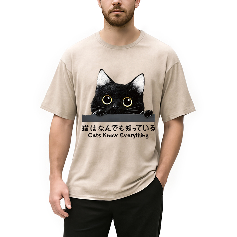 Tokyocanvas Cats Know Everything Washed T-Shirt