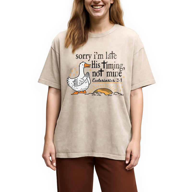 Tokyocanvas His Timing Not Mine Goose Washed T-Shirt