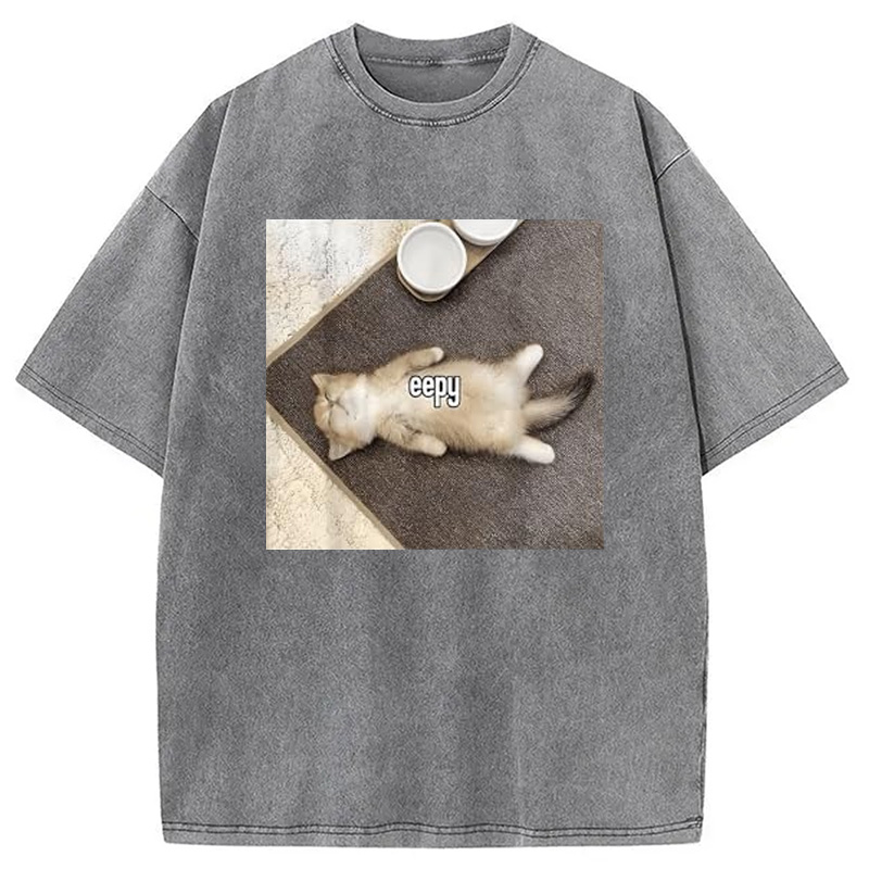 Tokyocanvas Eepy Funny Cat Meme Washed T-Shirt
