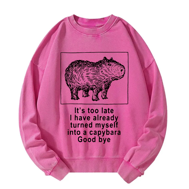 Tokyocanvas I Have Turned Myself Into A Capybara Washed Sweatshirt