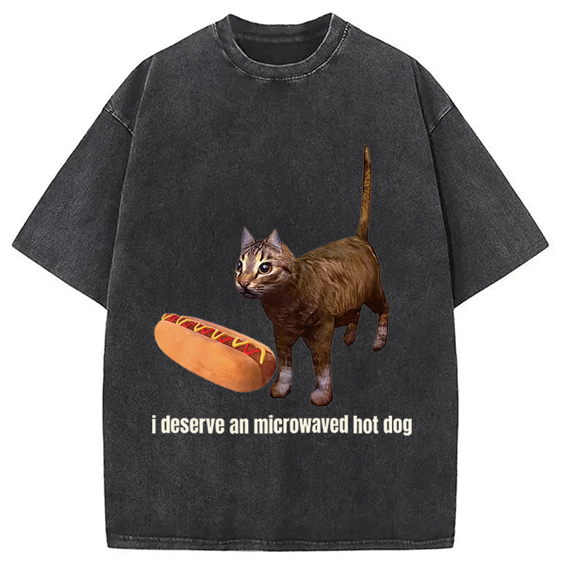 Tokyocanvas Cat Hotdog Meme Washed T-Shirt