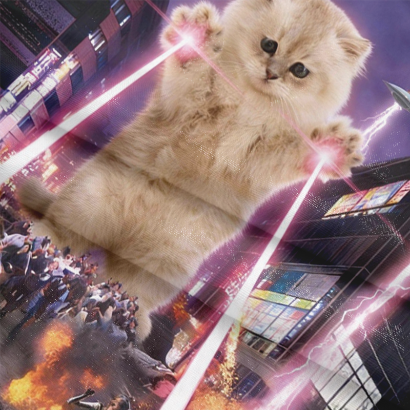 Tokyocanvas Angry Cat Long Sleeve Graphic Print T-Shirt